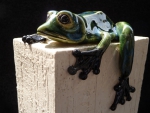 Frosch_gn