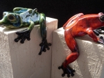 Frosch_gn_rt