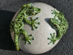 Gecko_04