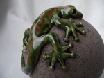 Gekko_01