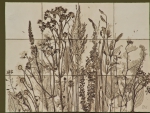 Wiese_01