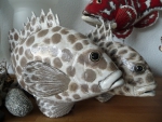 Harlekin_Suesslippe_02