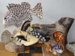 Korallenfische