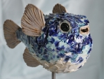 Kugelfisch_02