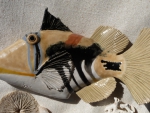 Picassodruecker_02