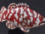 Zackenbarsch_rt_01