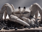 Krabbe_craquele