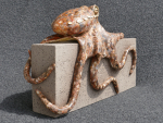 Krake_01a