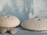 Seeigel_mu,we_03