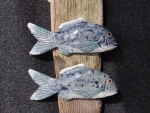 Dorade_01