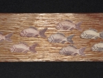 Dorade_Schwarm_02