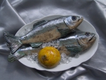 Hering_01