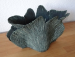 Ginkgo_gn