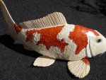 Koi_01
