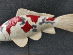 Koi_02
